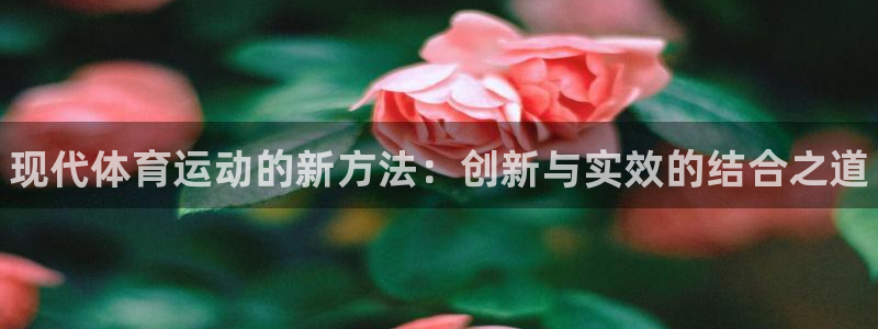 JJB竞技宝官网下载招商电话号码查询：现代体育运动的