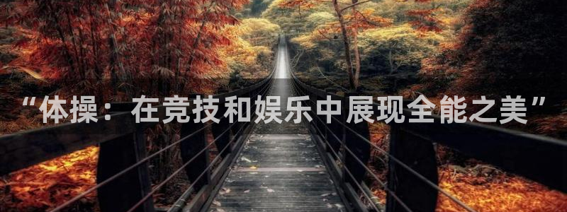 JJB竞技宝官方平台体育：“体操：在竞技和娱乐中展现