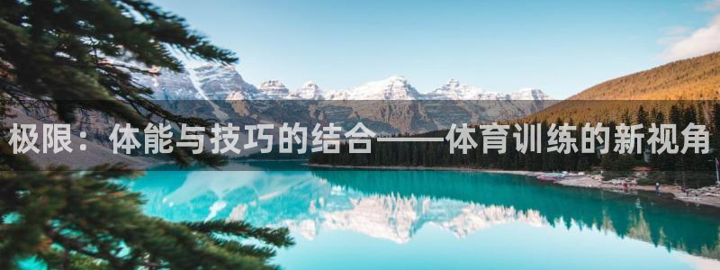 JJB竞技宝官方正版app集团：极限：体能与技巧的结