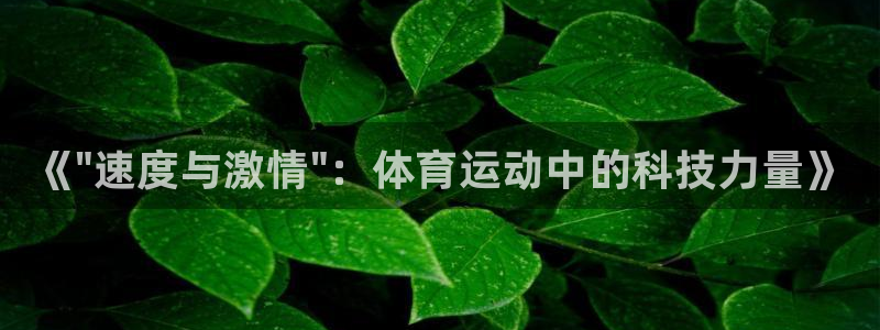 JJB竞技宝官方正版app娱乐首页官网下载：《\