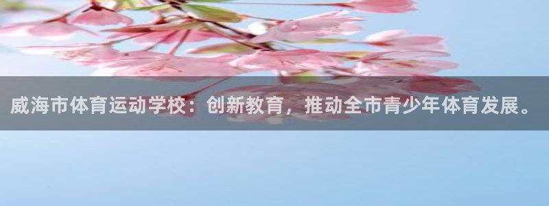 JJB竞技宝官方正版app新能源：威海市体育运动学校